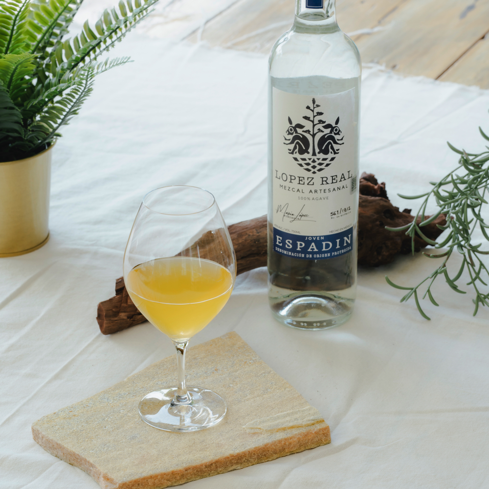 Tropical Haze